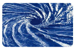 楽天市場】【月間優良ショップ受賞】 リヨメール リヨメールロゼ 2kg