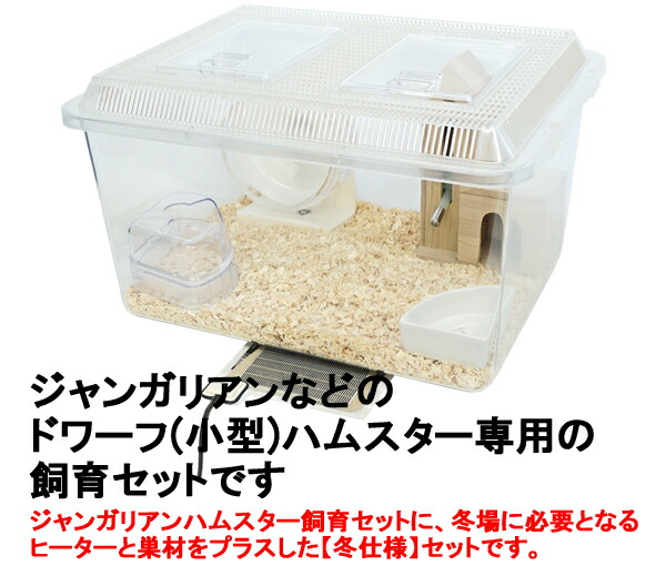 28周年セール中】ジャンガリアンハムスター飼育セット【冬仕様】/プラ