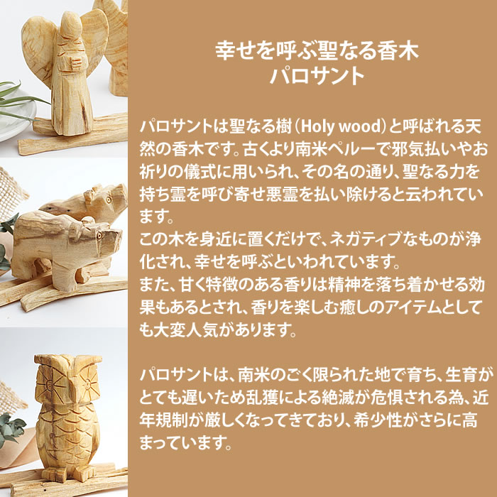 楽天市場】【10本】パロサント 聖なる木 ブルセラ グラベオレンスの木