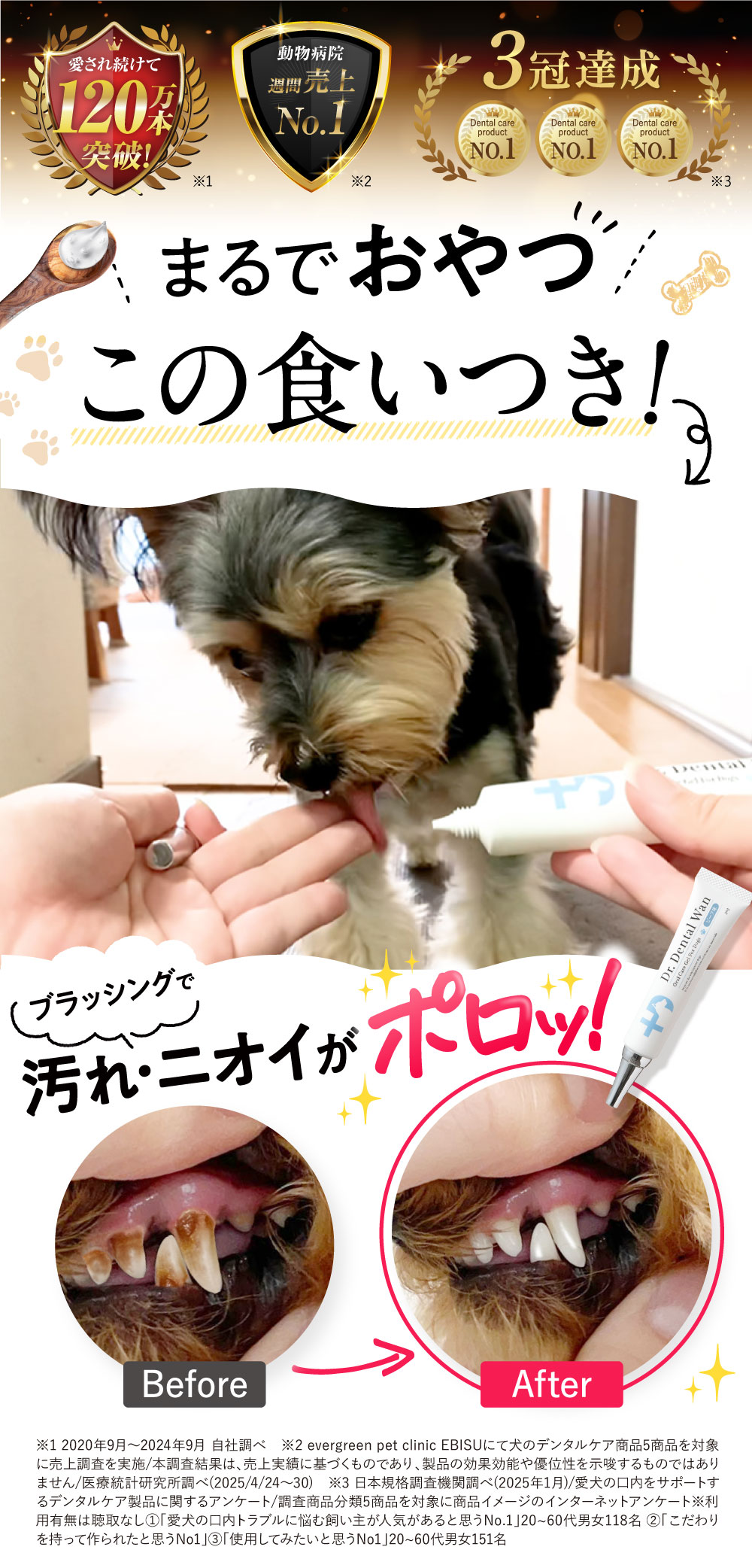 楽天市場】ドクターデンタルワン 30g 1ヶ月分 犬 歯磨き 歯磨きジェル