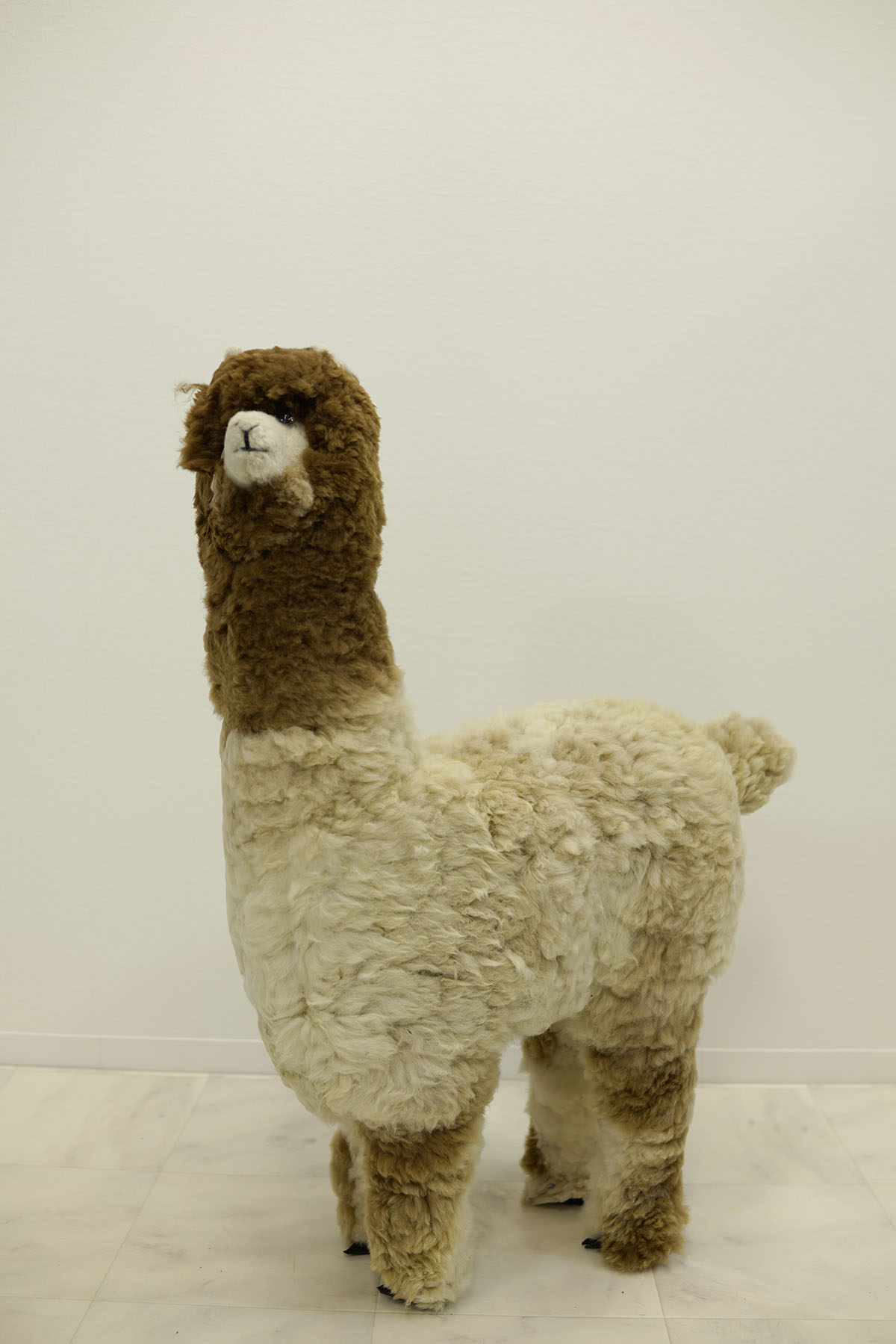 楽天市場】アルパカ ぬいぐるみ 特大 大サイズ Lサイズ人形 置物