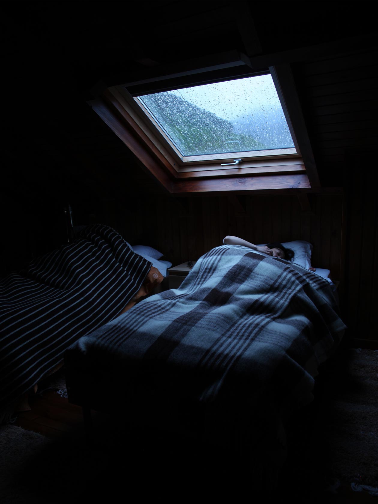 楽天市場】エコラ / スロー Mサイズ [ECOLA] : scope version.R