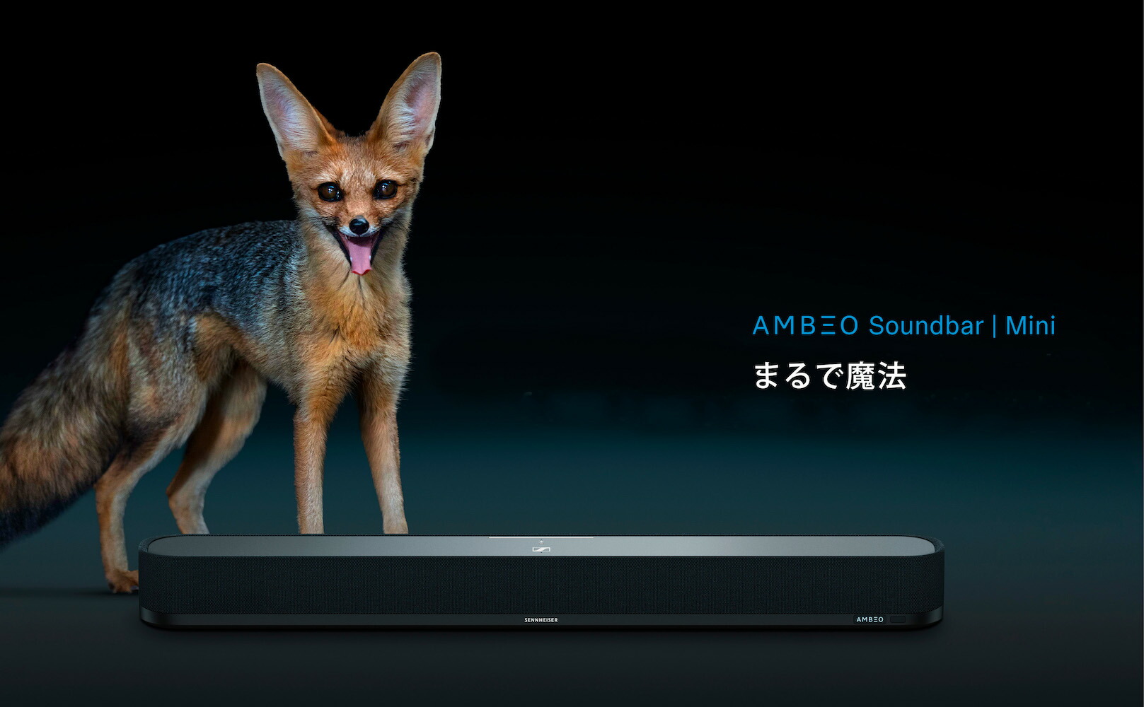 楽天市場】ゼンハイザー公式 Sennheiser AMBEO Soundbar Mini アンビオ