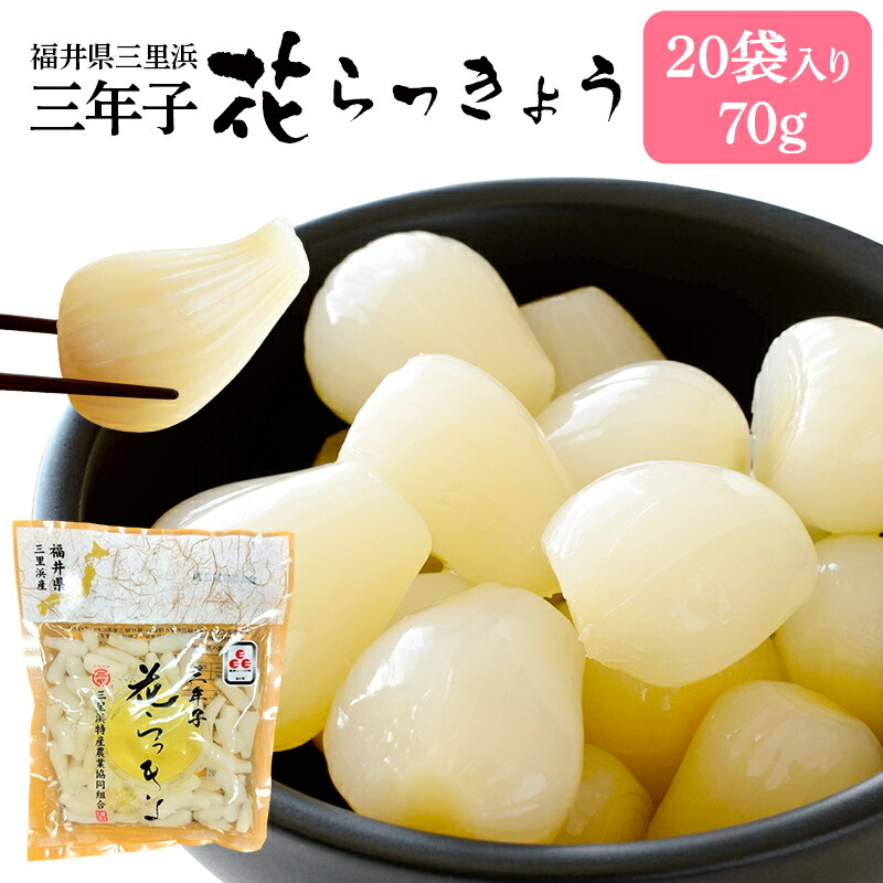 楽天市場】【三年子花らっきょう20袋入り箱】福井特産品セット 福井県
