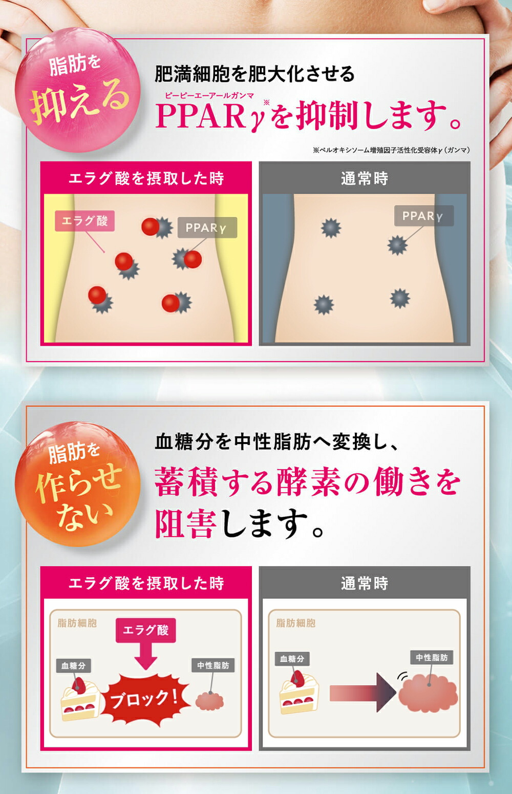 楽天市場】【公式】3袋セット シボローカ 体重 体脂肪 減少サポート