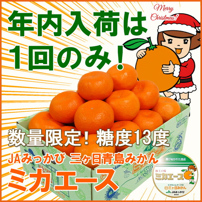 オンラインショップ】三ヶ日みかん速報(12月25日号)青島ミカエース年内