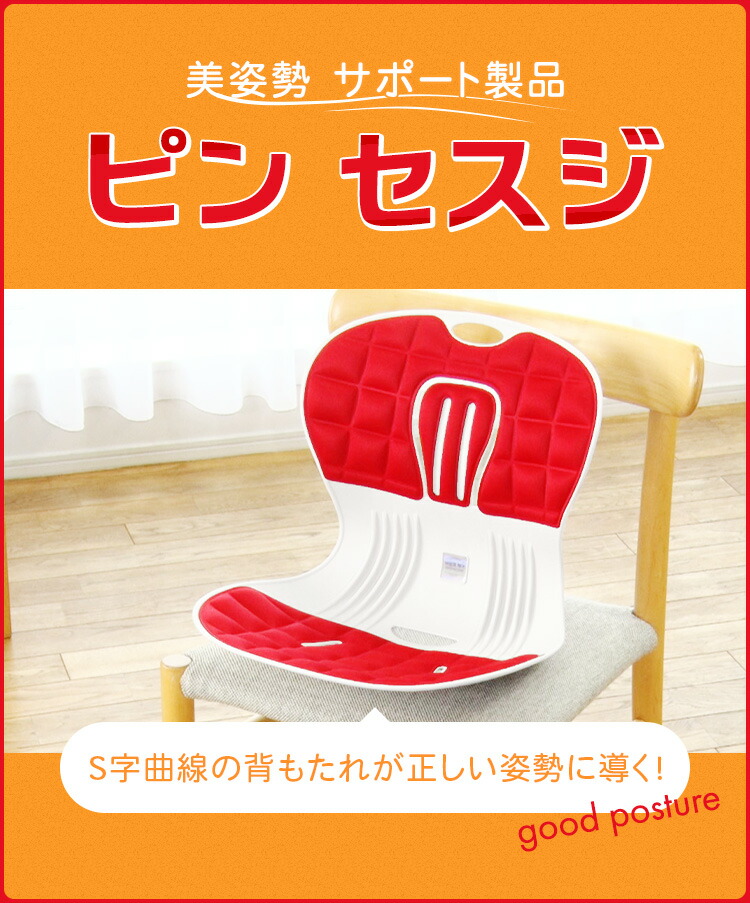 楽天市場】ピンセスジ【 椅子 綺麗 姿勢 サポート 韓国 新感覚 美姿勢