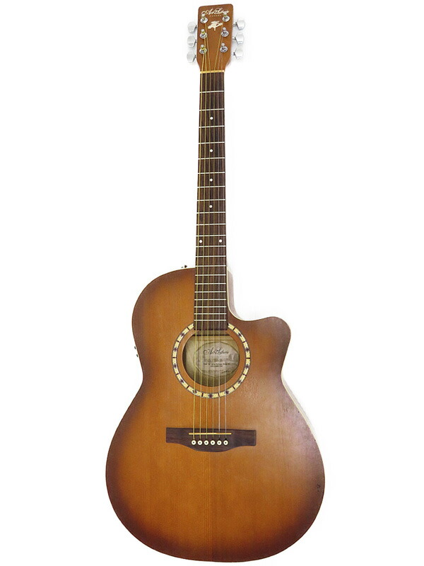 ケース付アートルシアー Dreadnought CEDARArt&Lutherie【ハードケース