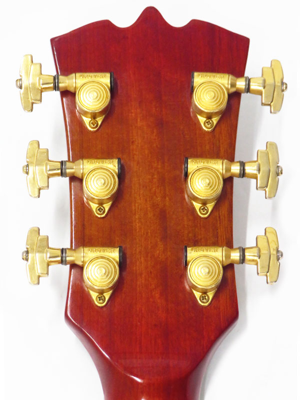 Argus】アーガス『エレキギター』DJ-23 1週間保証【中古