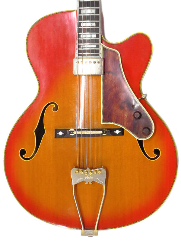 Argus】アーガス『エレキギター』DJ-23 1週間保証【中古