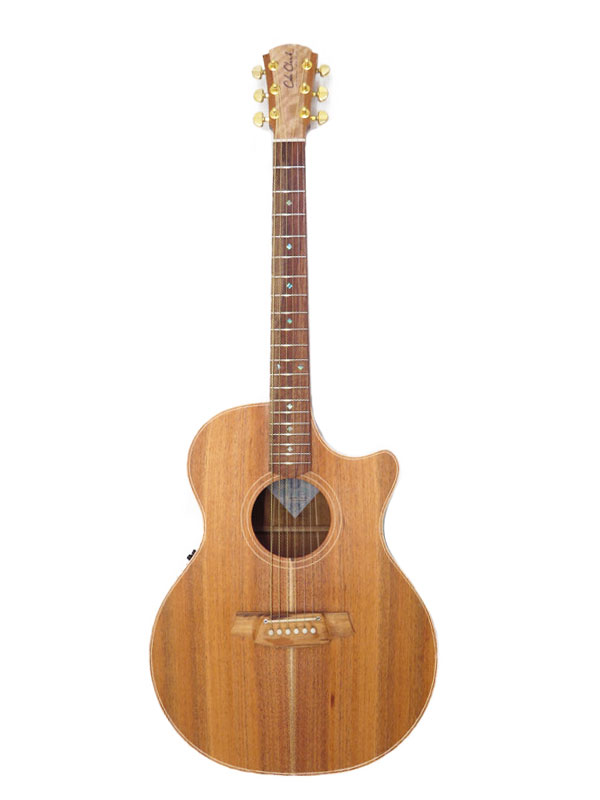 Cole Clark】コールクラーク『E.アコースティックギター』AN2EC-BLBL