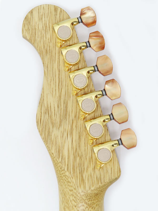 Provision Guitar】プロビジョンギター『エレキギター』PF-TE Thinline