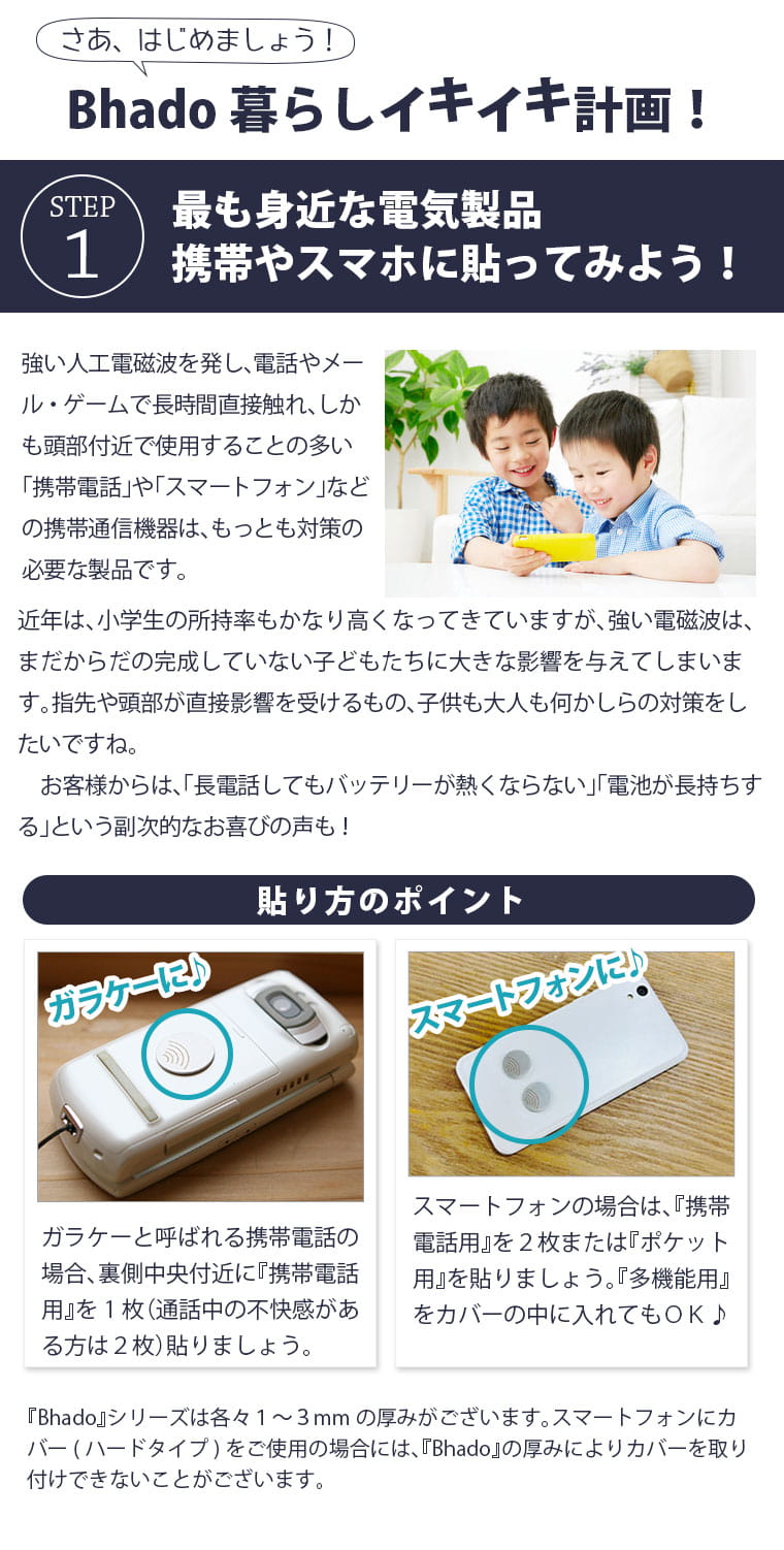 楽天市場】Bhado（びはどう） 多機能用 : トータルヘルスデザイン