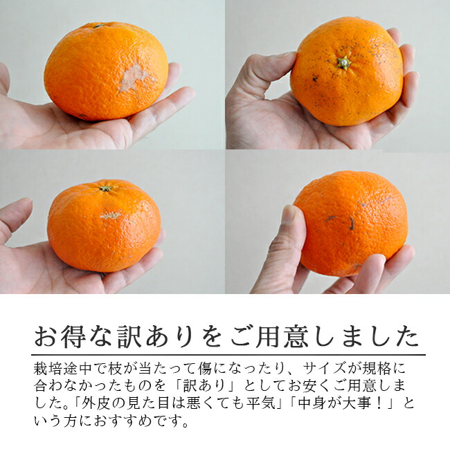 甘平(かんぺい)(訳あり)お取り寄せ(通販)農家直送 送料無料