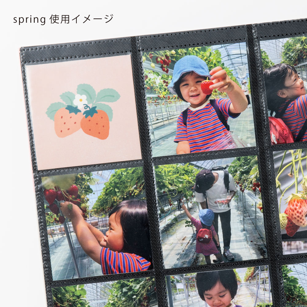 楽天市場】大容量アルバム用 ましかくアルバム 大容量 シーズン