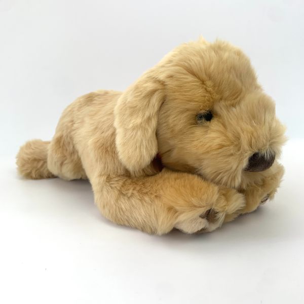 ぬいぐるみ S ゴールデンレトリバー 犬 動物