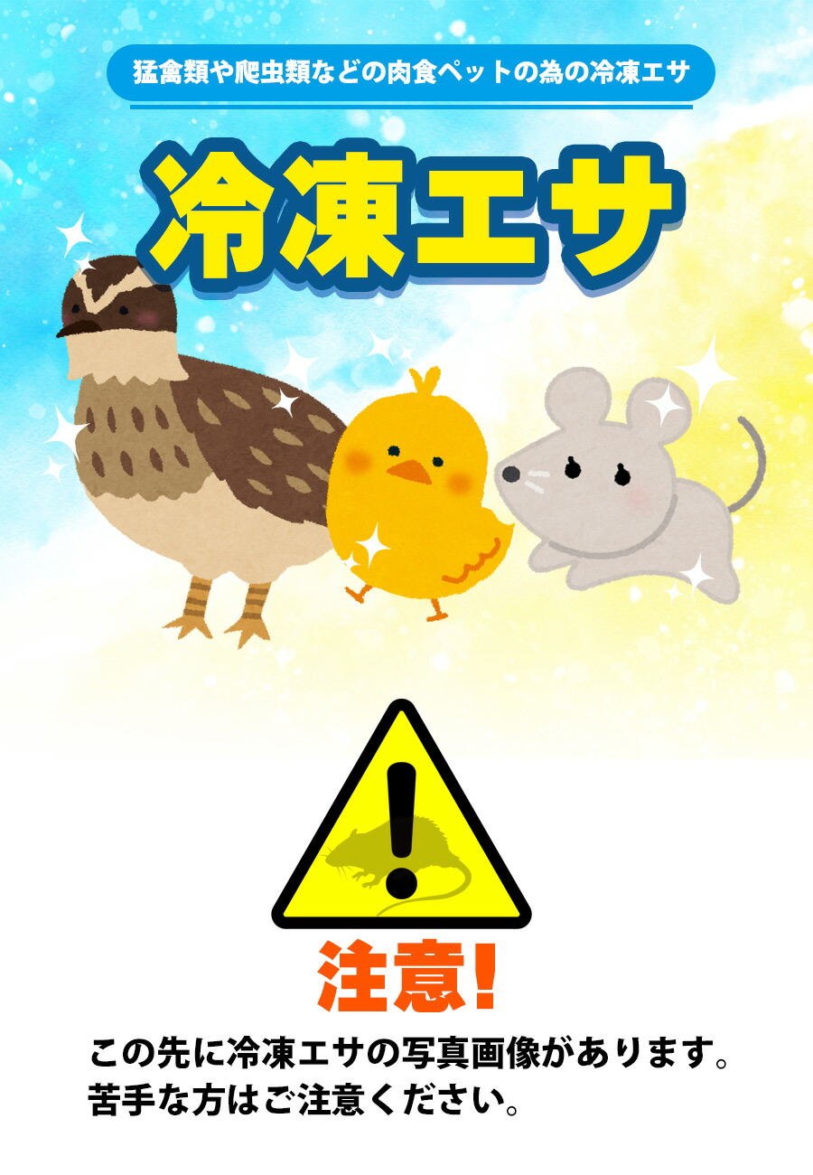 冷凍】冷凍ラット 80（約80g）10匹パック（T2）【クール便発送】【常温