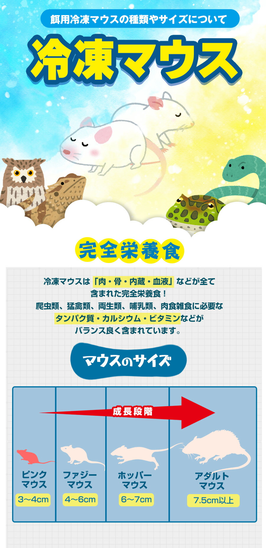 冷凍マウス（エサ） フェレットワールド WEB SHOP