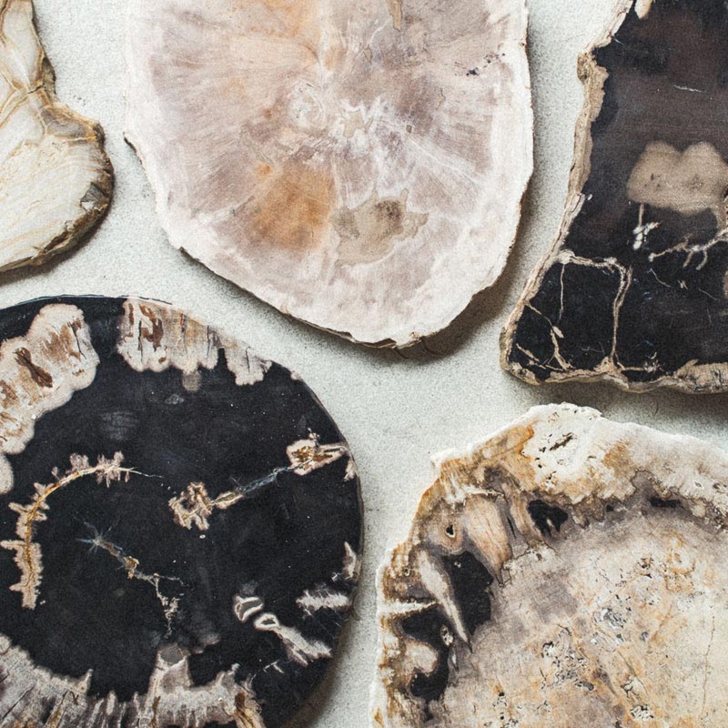 珪化木プレート 楽天市場】アクセサリートレイ 小物置き 珪化木 おしゃれアマブロ