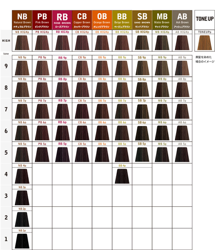 楽天市場】中野製薬 ナカノ キャラデコ パブェ ベーシックゾーン