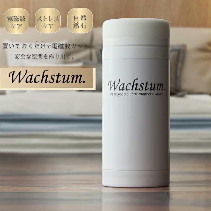 楽天市場】【公式】バックストーム Wachstum ニューモデル 0宣言の家