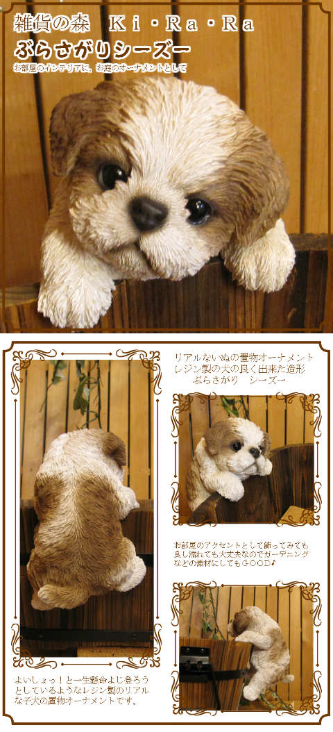 楽天市場】犬の置物 シーズー ぶらさがりドッグ ワンちゃん いぬ