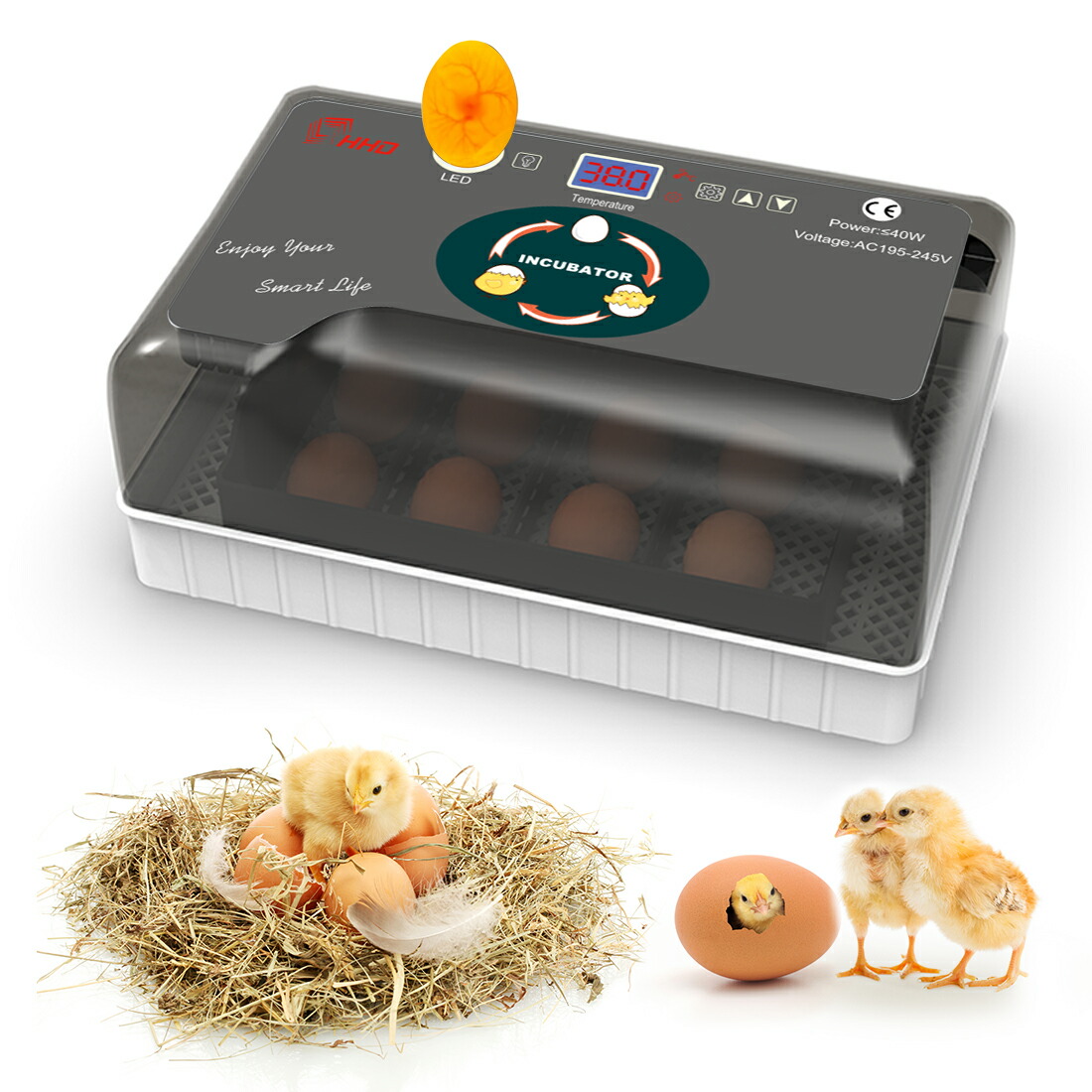 楽天市場】【5％OFFクーポンあり】【楽天1位】自動孵卵器