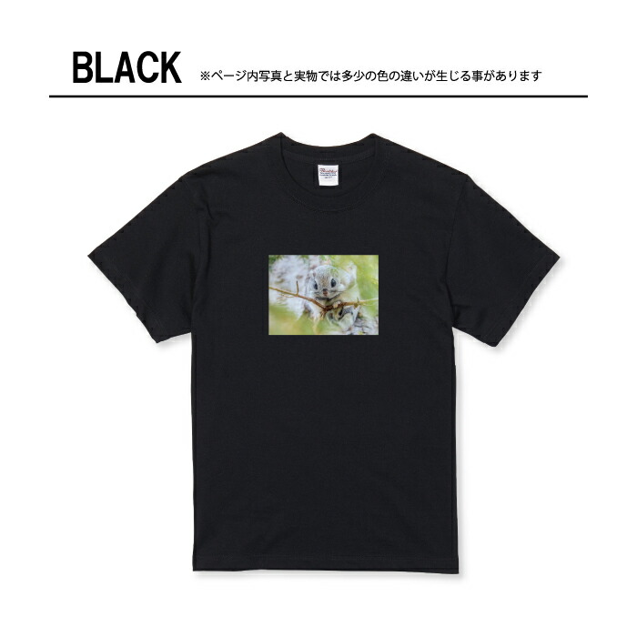 楽天市場】Tシャツ キッズ こどもサイズ モモンガ ももんが
