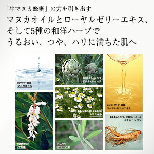 楽天市場】【山田養蜂場】マヌカハニーシリーズ4点セット スキンケア