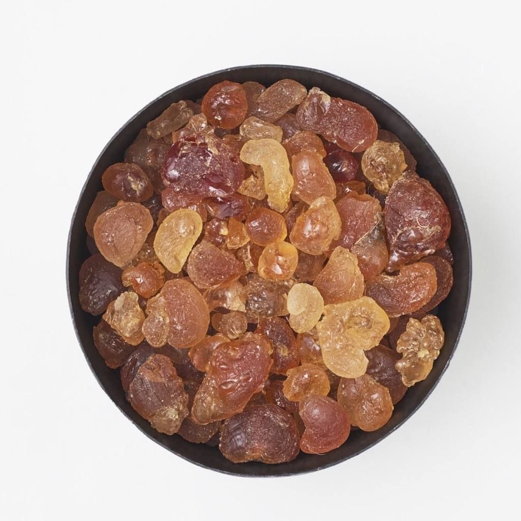 MAD et LEN - 【残り一点】グランデポットポプリ アンバー(TERRE NOIRE