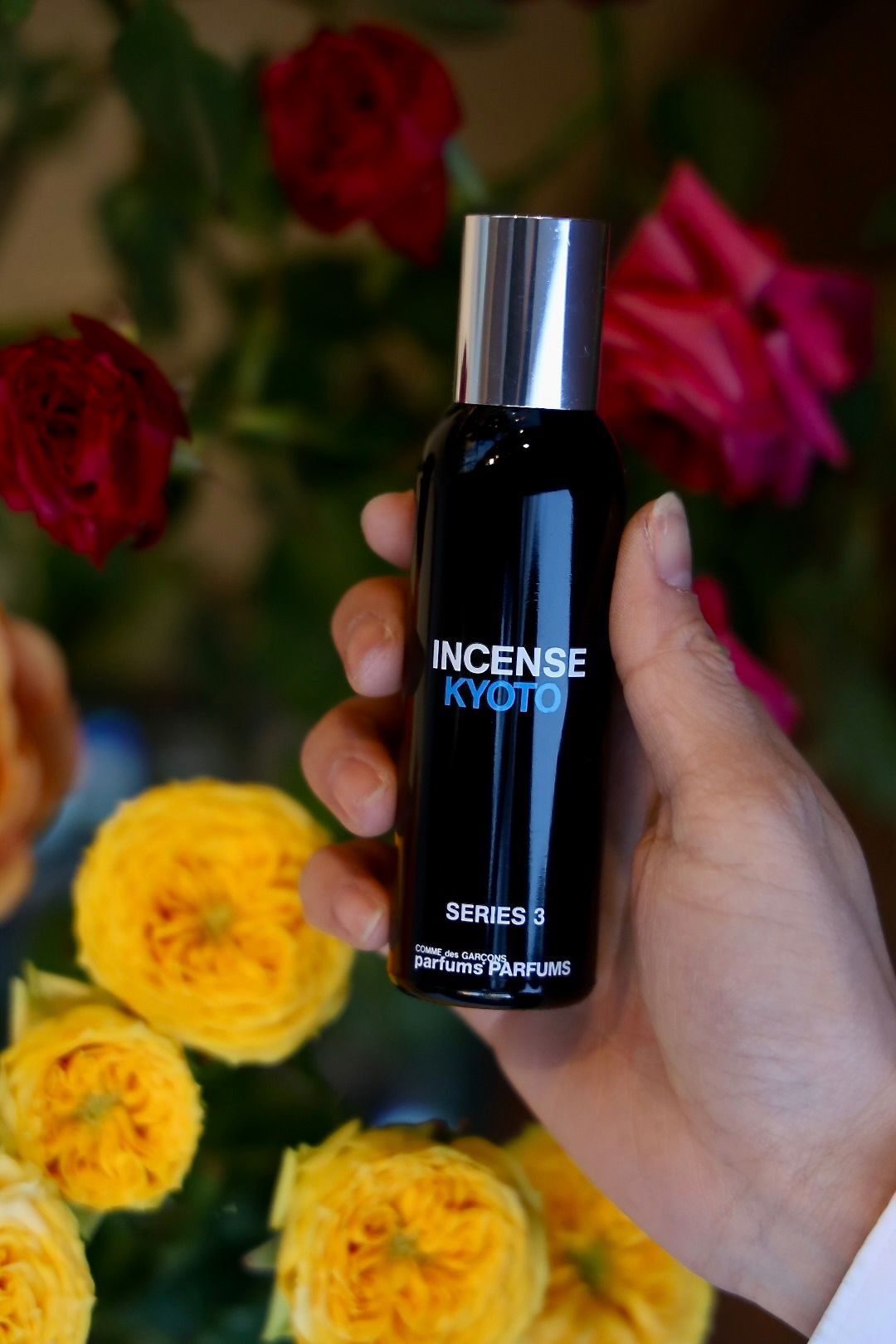 COMME des GARCONS PARFUMS - コムデギャルソン香水 Series3 INSENSE