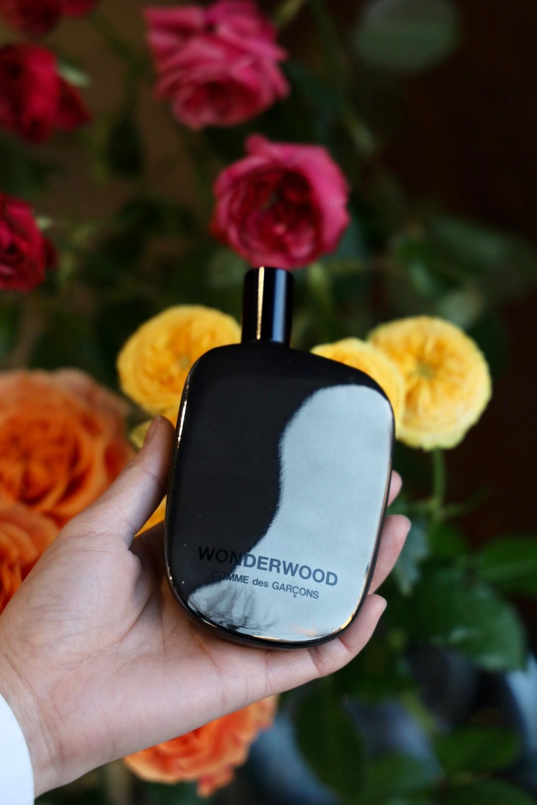 COMME des GARCONS PARFUMS - コムデギャルソン香水 人気NO.1