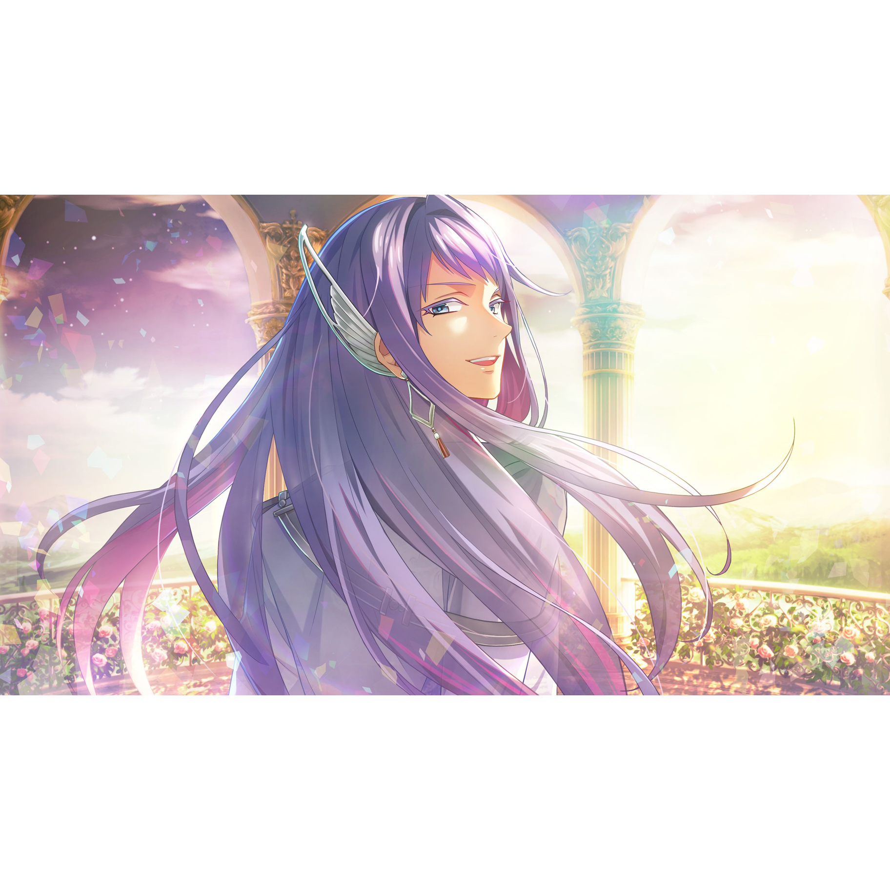 アンジェリーク ルミナライズ トレジャーBOX｜の通販はソフマップ[sofmap]