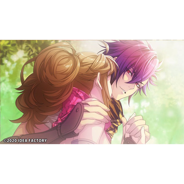 忍び、恋うつつ for Nintendo Switch 限定版｜の通販はソフマップ[sofmap]