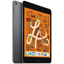 中古】iPad mini 第5世代 256GB スペースグレイ MUU32J／A Wi-Fi