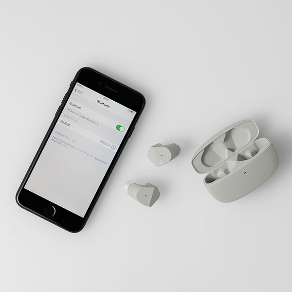 完全ワイヤレスイヤホン アッシュグレー FI-ZE2DPLTW-ASH-GRAY