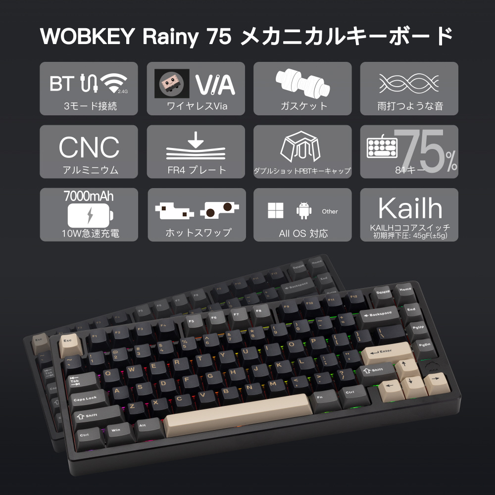 キーボード Rainy 75 Pro系モデル(英語配列) ブラック PR75CBK ［有線