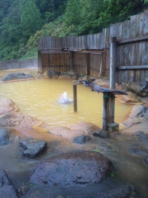 楽天市場】まっとうな温泉（東日本版） 北海道東北関東中部エリア [ 南