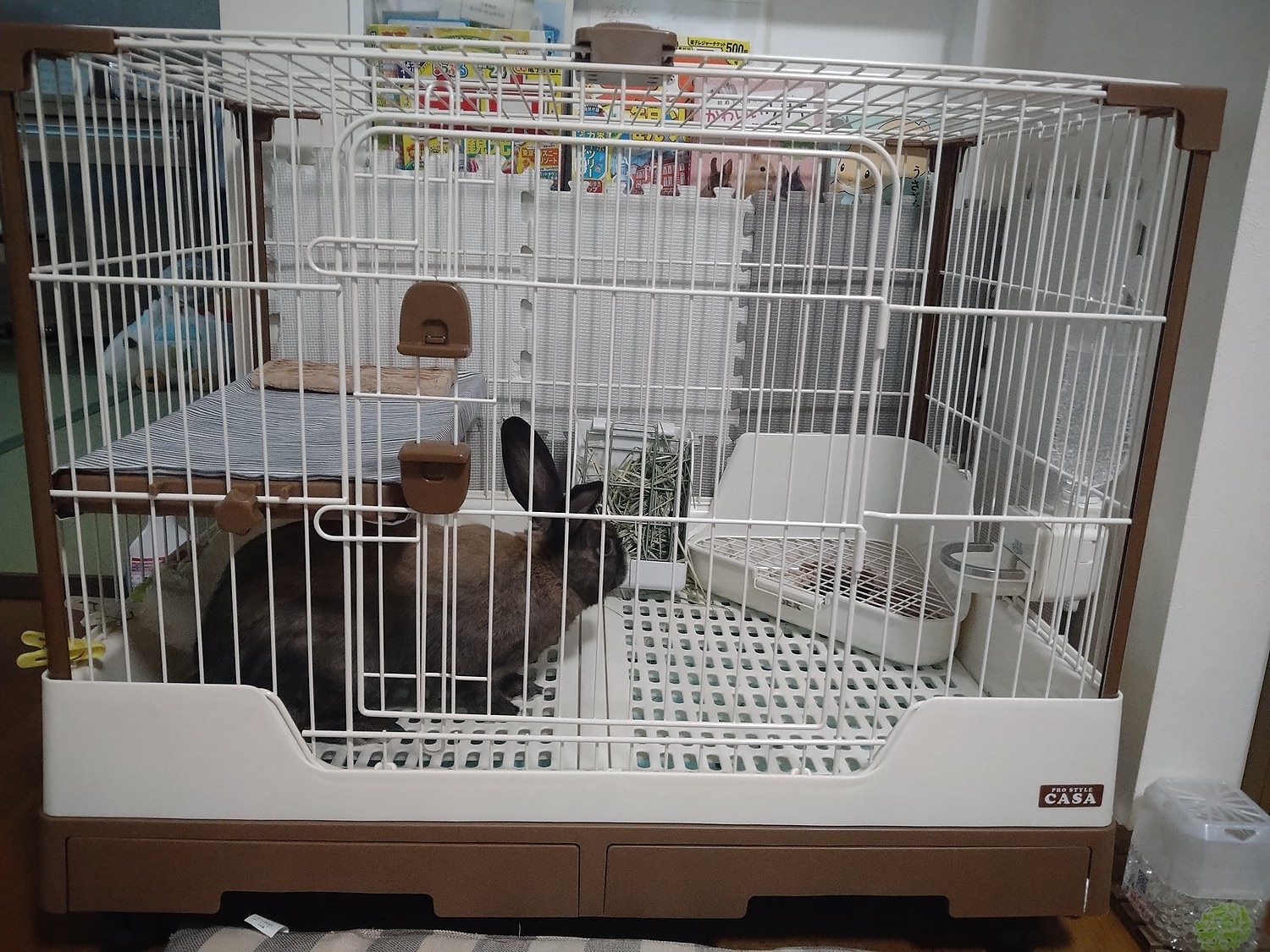 楽天市場】CASA セレクトケージRabbit80 送料無料(行列のできるペット
