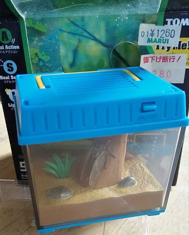 虫かごギャラリー ツクツクボウシ | EL＆P図書室3号別室 - 楽天ブログ