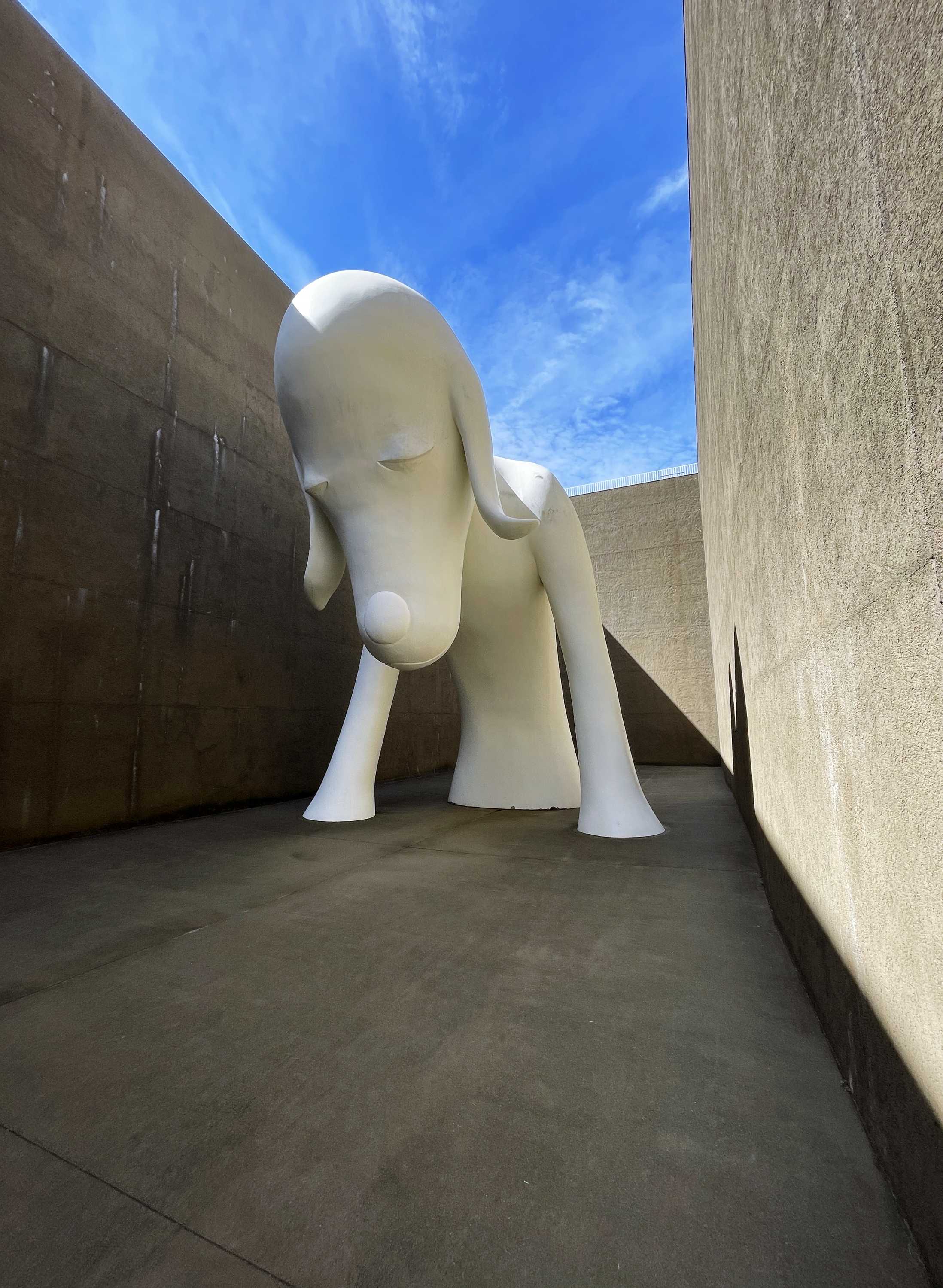 青森県立美術館のハイライトの一つは、奈良美智さんの『あおもり犬
