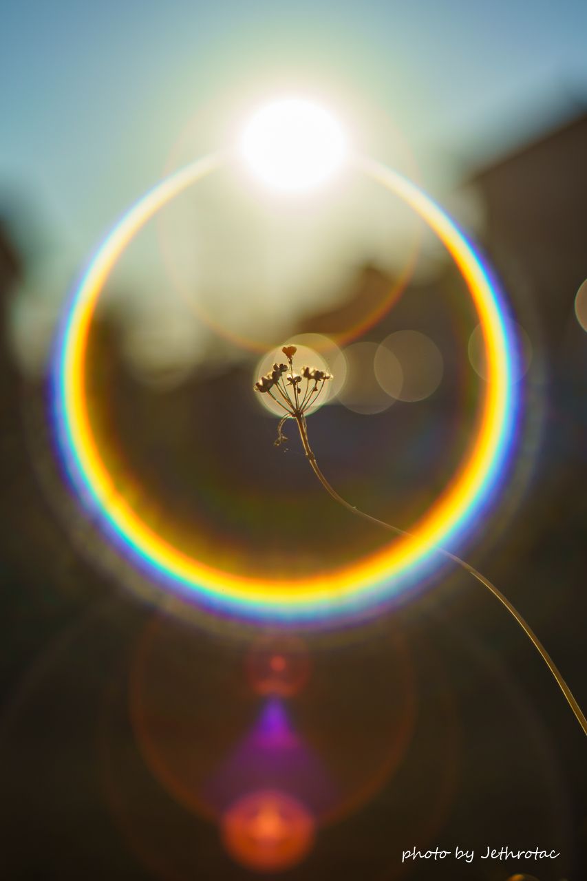 虹のサークル・ゴースト：Super-Takumar | ♡ With My Cobby - 楽天ブログ