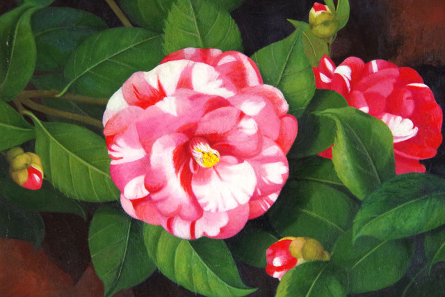 送料無料】・椿の絵・志村好子「大乱」（赤・白椿）油彩・F3