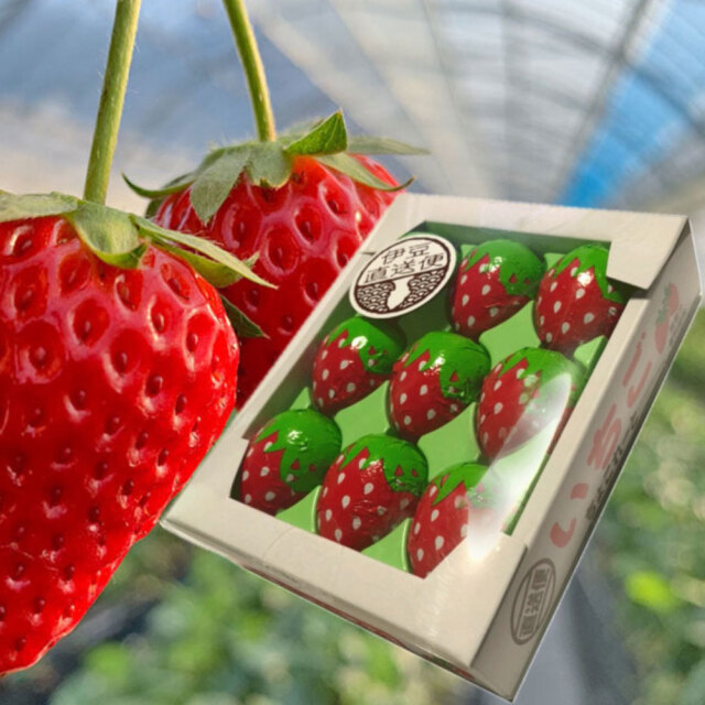 いちごちょこれーと チョコレート プチギフト 9粒入り