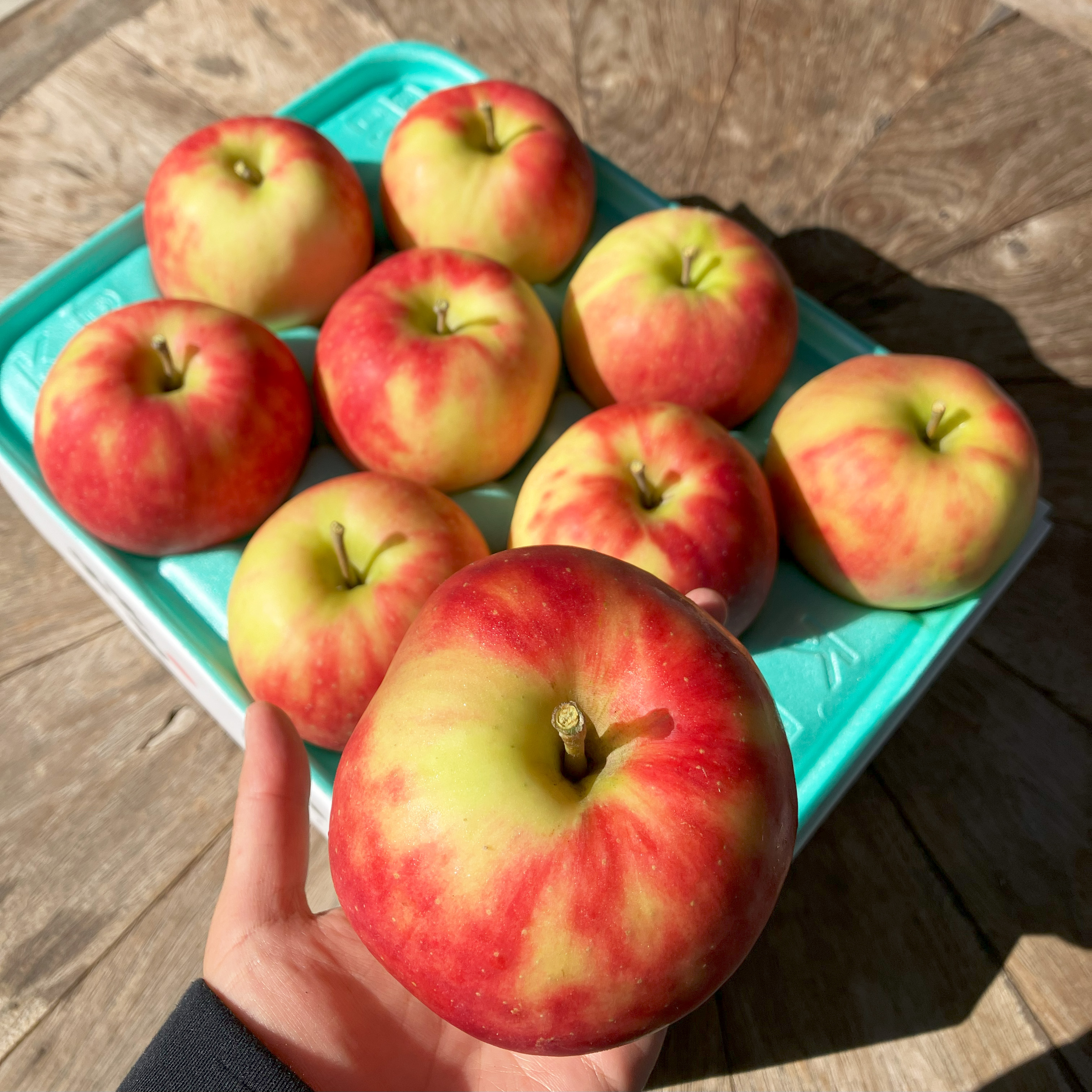 特別栽培りんご ジョナゴールド キズなし良品 青森県弘前市産