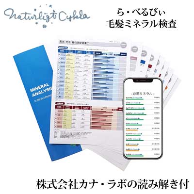 ら・べるびぃ予防医学研究所 毛髪ミネラル検査