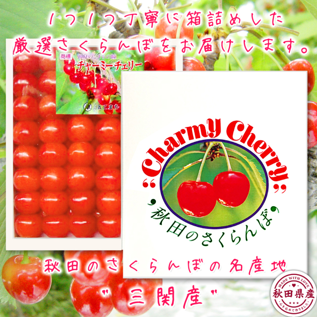 味にこだわり！秋田県産さくらんぼ♪佐藤錦,チャーミーチェリー