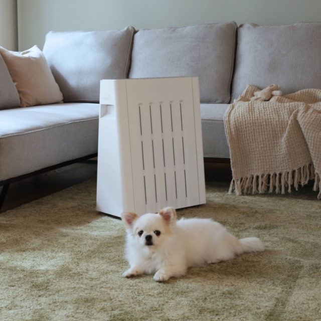 ユーレックス ヘリテイジヒーター