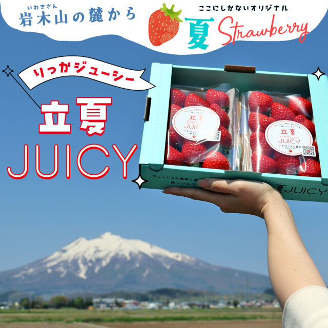 朝採り 完熟 いちご 【青森県産いちご 立夏JUICY 240g以上×2パック
