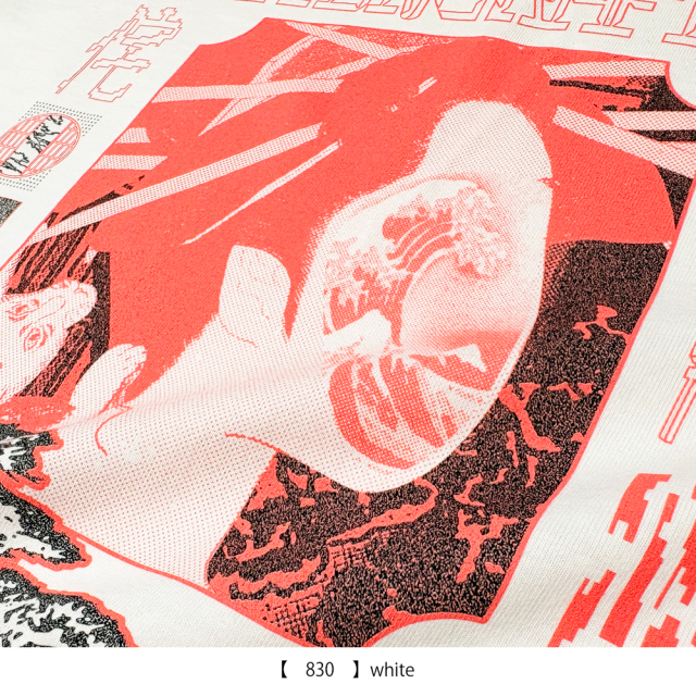 ROTTENGRAFFTY 】 わび T-shirt 《発送1月下旬予定》